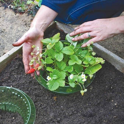 12PCS Round Plant Protection Cover Flower Pot Shield Reusable Garden Plant Cover