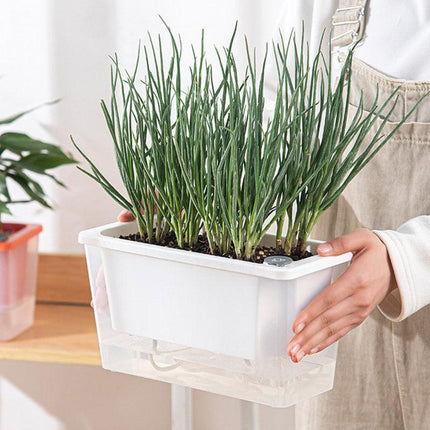 Balcony Vegetable Pot Planter Lazy Self Priming Flower Pot for Indoor Gardening