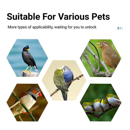 Parrot Bird Cage Foldable Portable ABS Plastic Brown Hook Tray for Small Birds