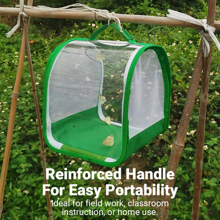 Portable Foldable Insect Cage Transparent for Outdoor Exploration Bug Collecting