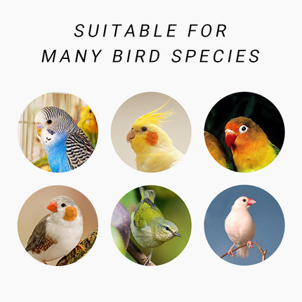 Parrot Travel Cage Handheld Portable for Small Parrots Budgies Cockatiels Birds