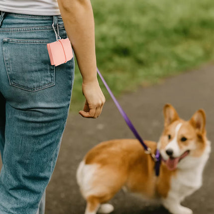 Portable Pet Bowl Travel Foldable Silicone for Dog Cat Outdoor Walking Hiking