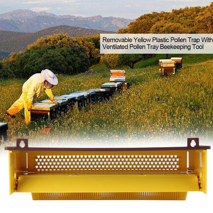 Beekeeping Pollen Trap Box Remover Beehive Collector Tool Plastic Collection Box