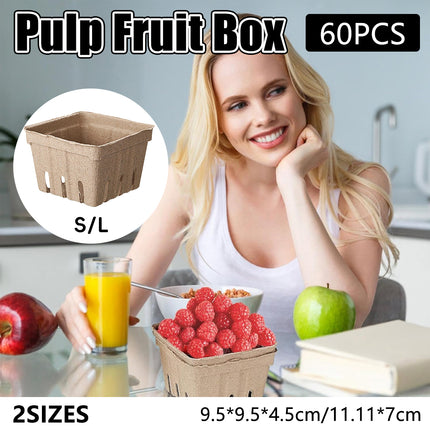 60PCS Pulp Fruit Box Eco Friendly Safe Reliable for Fruit Vegetable Storage Use