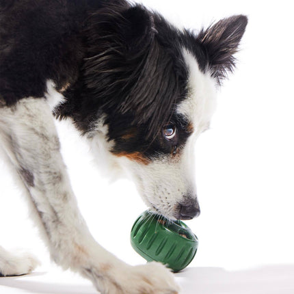 Dog Slow Feeder Treat Mold Silicone Chew Ball Set Non Toxic Frozen Treat Maker