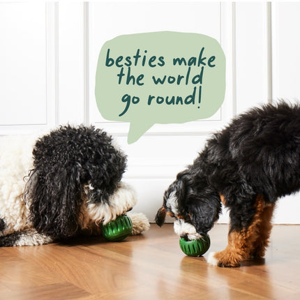 Dog Slow Feeder Treat Mold Silicone Chew Ball Set Non Toxic Frozen Treat Maker