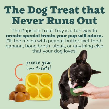 Dog Slow Feeder Treat Mold Silicone Chew Ball Set Non Toxic Frozen Treat Maker