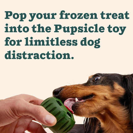 Dog Slow Feeder Treat Mold Silicone Chew Ball Set Non Toxic Frozen Treat Maker