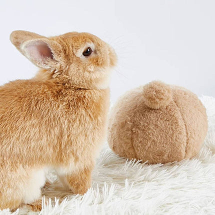 Rabbit Toy Ball Boredom Breaker Stress Relief Pet Bunny Interactive Play Use