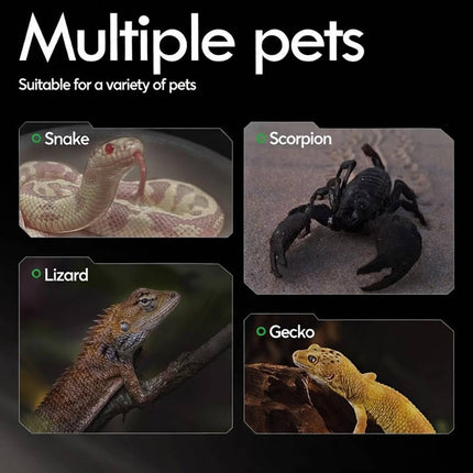 2.5kg Reptile Terrarium Calcium Sand Desert Substrate for Lizard Bearded Dragon