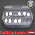 Lizard Hatching Box 12 Holes Reptile Egg Incubator Clear Container for Breeding