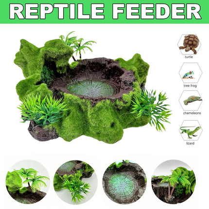 Resin Reptile Water and Feeding Basin - Mossy Rock Terrarium Dish