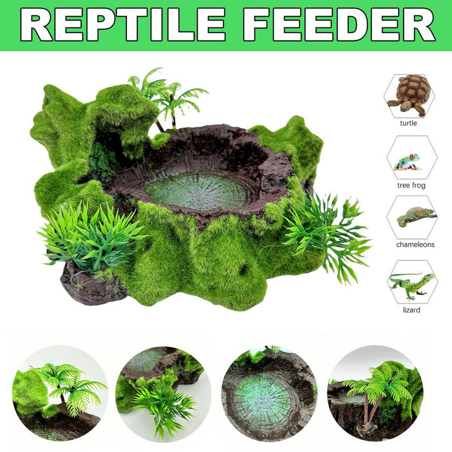 Resin Reptile Water and Feeding Basin - Mossy Rock Terrarium Dish