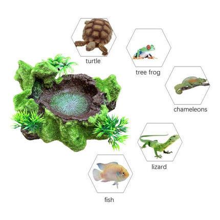 Resin Reptile Water and Feeding Basin - Mossy Rock Terrarium Dish