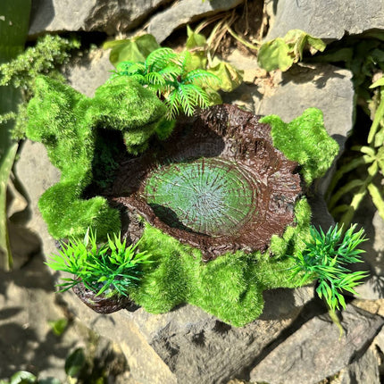 Resin Reptile Water and Feeding Basin - Mossy Rock Terrarium Dish