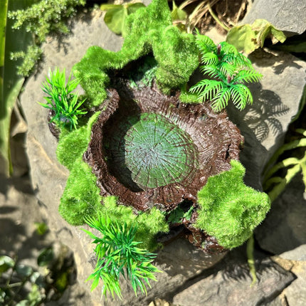 Resin Reptile Water and Feeding Basin - Mossy Rock Terrarium Dish