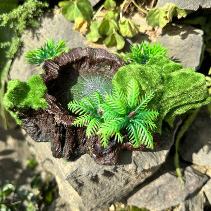 Resin Reptile Water and Feeding Basin - Mossy Rock Terrarium Dish