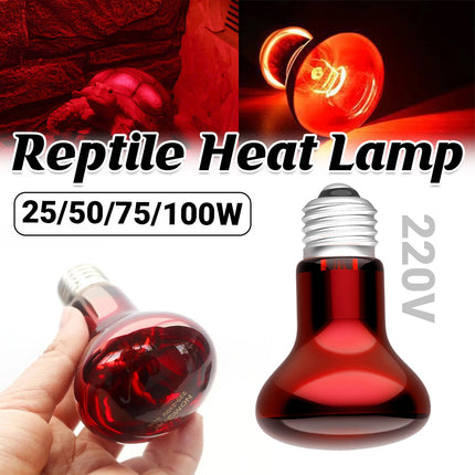 Reptile Heat Lamp Bulb 25W 50W 75W 100W 220–240V E27 Red Heat Light for Terrarium