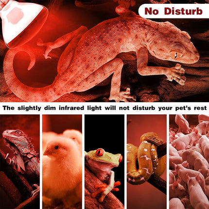 Reptile Heat Lamp Bulb 25W 50W 75W 100W 220–240V E27 Red Heat Light for Terrarium