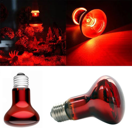 Reptile Heat Lamp Bulb 25W 50W 75W 100W 220–240V E27 Red Heat Light for Terrarium