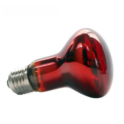 Reptile Heat Lamp Bulb 25W 50W 75W 100W 220–240V E27 Red Heat Light for Terrarium