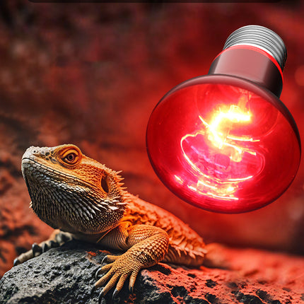 Reptile Heat Lamp Bulb 25W 50W 75W 100W 220–240V E27 Red Heat Light for Terrarium