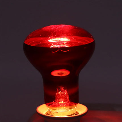 Reptile Heat Lamp Bulb 25W 50W 75W 100W 220–240V E27 Red Heat Light for Terrarium