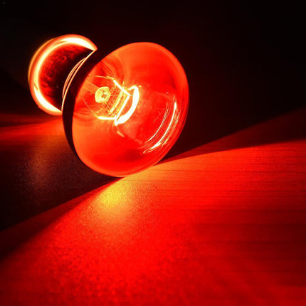 Reptile Heat Lamp Bulb 25W 50W 75W 100W 220–240V E27 Red Heat Light for Terrarium