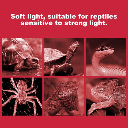 Reptile Heat Lamp Bulb 25W 50W 75W 100W 220–240V E27 Red Heat Light for Terrarium