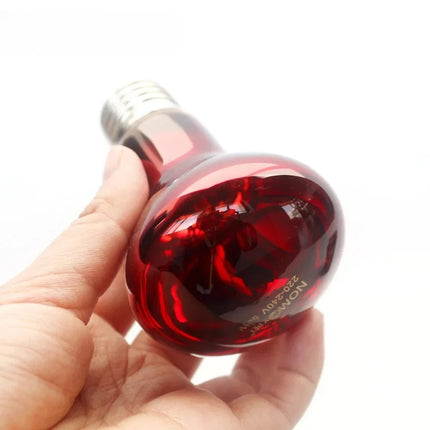Reptile Heat Lamp Bulb 25W 50W 75W 100W 220–240V E27 Red Heat Light for Terrarium