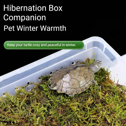 Tortoise Reptile Hibernation Kit Feeding Box Coconut Brick and Moss