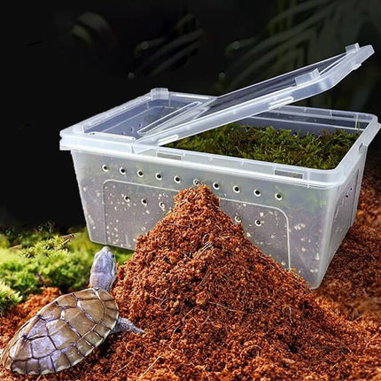 Tortoise Reptile Hibernation Kit Feeding Box Coconut Brick and Moss