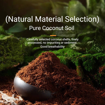 Tortoise Reptile Hibernation Kit Feeding Box Coconut Brick and Moss