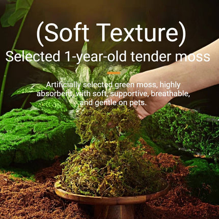 Tortoise Reptile Hibernation Kit Feeding Box Coconut Brick and Moss