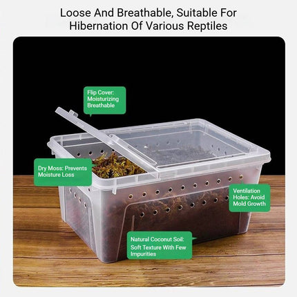 Tortoise Reptile Hibernation Kit Feeding Box Coconut Brick and Moss