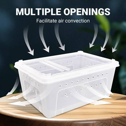 Tortoise Reptile Hibernation Kit Feeding Box Coconut Brick and Moss