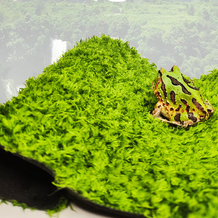 Reptile Moss Carpet 50x30cm Green Double Layer Fabric for Vivarium Terrarium