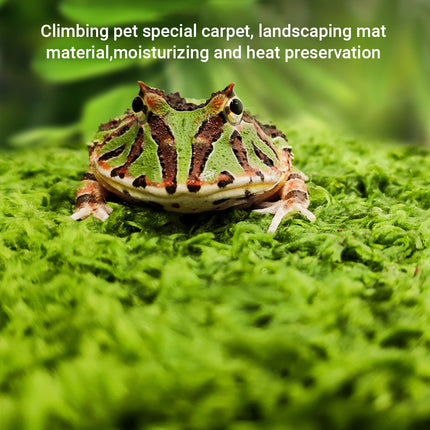Reptile Moss Carpet 50x30cm Green Double Layer Fabric for Vivarium Terrarium