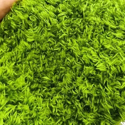 Reptile Moss Carpet 50x30cm Green Double Layer Fabric for Vivarium Terrarium