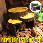 Resin Reptile Terrace Basking Platform Tortoise Hide Cave Terrarium Decor