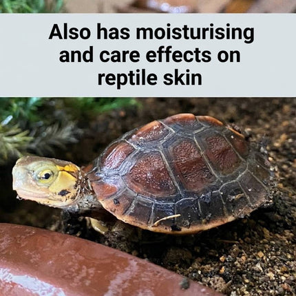 Turtle Shell Care Oil Moisturising Reptile Shell Gloss