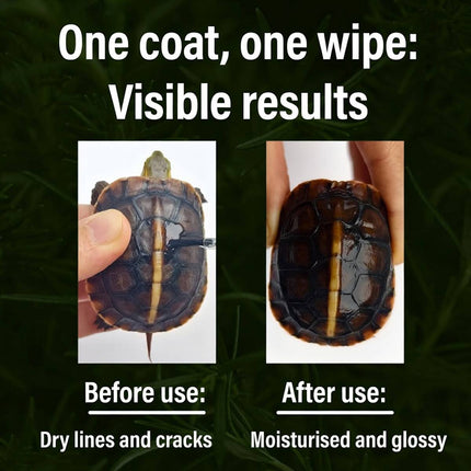 Turtle Shell Care Oil Moisturising Reptile Shell Gloss