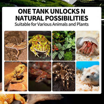 White Sci Fi Desktop Reptile Habitat Terrarium 35cm