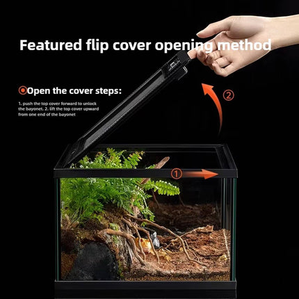 Reptile Terrarium Glass Tank Ventilated Mesh Top Lizard Gecko Tarantula Habitat