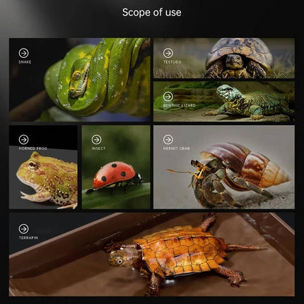 Reptile Habitat Lizard Snake Gecko Frog Terrarium Water Feeding Dish Bowl Decor