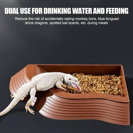 Reptile Habitat Lizard Snake Gecko Frog Terrarium Water Feeding Dish Bowl Decor