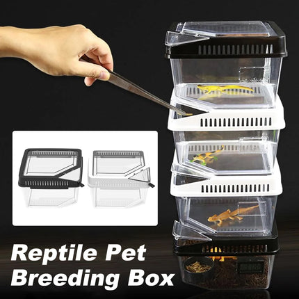 Reptile Breeding Box Model Pet Habitat Box for Crawling Animals Insect Home