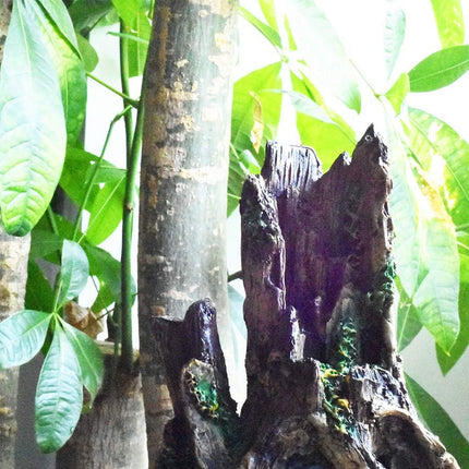 Aquarium Wood Decoration Driftwood Ornament Natural Hiding Hole Fish Tank Decor