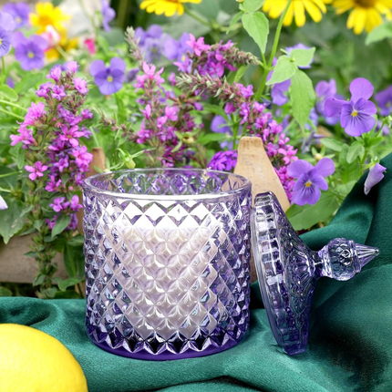 Scented Candle Glass Cup Aromatherapy Candle Eco-Friendly Fragrance Candle