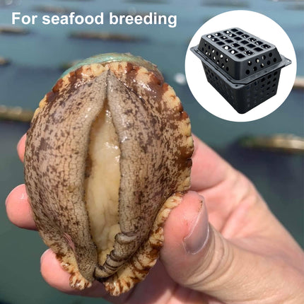 Crab Farming Cage 35CM Seafood Breeding Box Trap Container Aquatic Farm Fishing